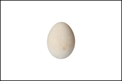 Festhető Natúr fa tojás ( Húsvéti tojás )